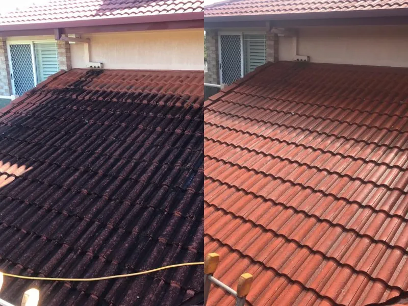 Tiled roof cleaned of mould and lichen