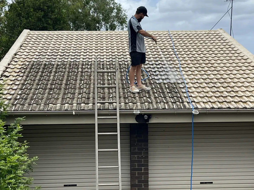 Roof being soft washed to remove mould