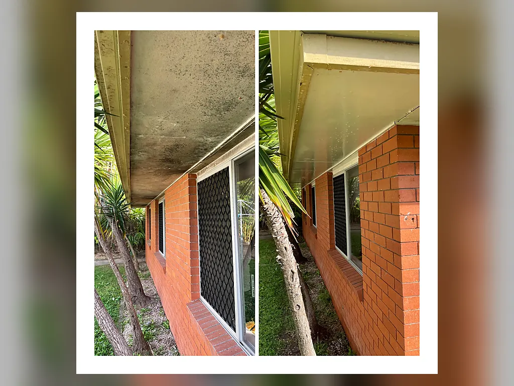 House eaves before and after professional soft washing