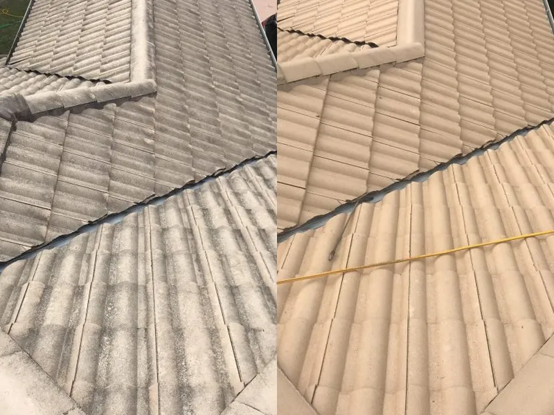 Roof before and after cleaning