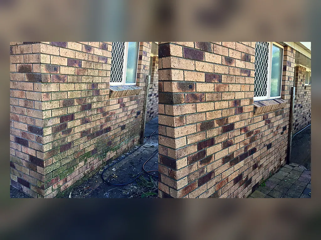 Brick wall before and after house washing